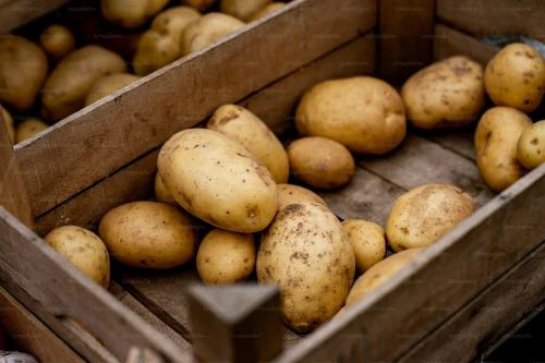 Brown Fresh Organic Potato