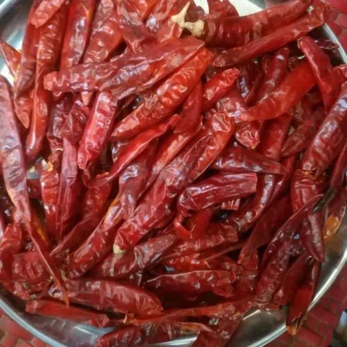 Guntur Chilli Stem Less, Packaging Type: Plastic Bag or Polythene