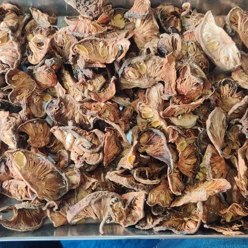 Dried Kokum Rinds, Packaging Size: 1 Kg