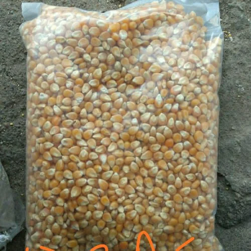 Imported Popcorn Kernels, 1 kg