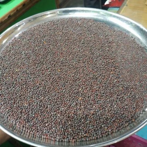 Black Organic Mustard Seed