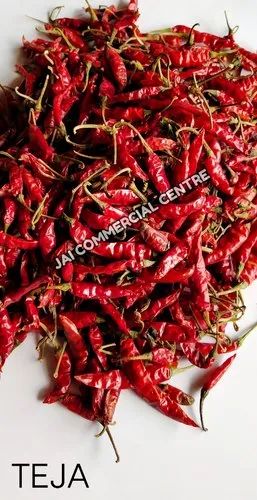 Indian Hot Teja Chilli With Stem