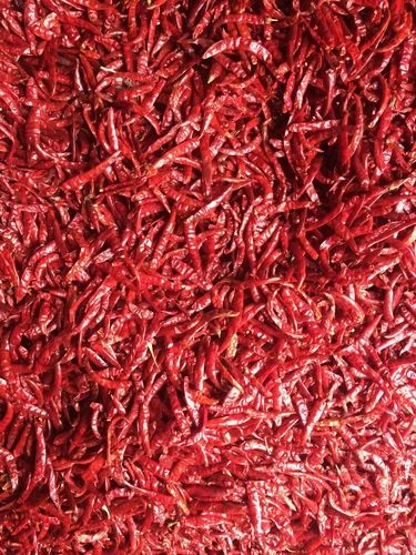 Guntur Dry Red Chilli, 25, 50 Kg