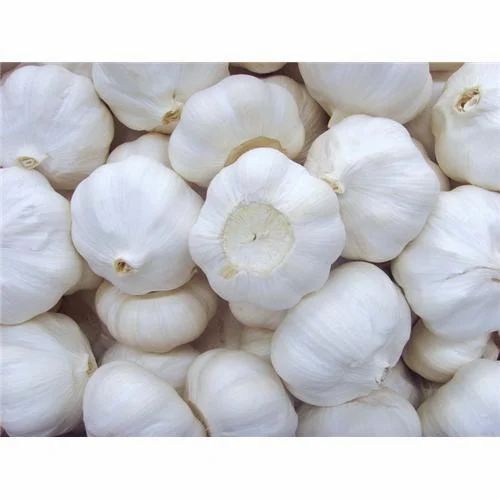 Ooty Export Quality Garlic, 40 mm+