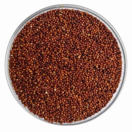 Brown Ragi Seeds, High in Protein