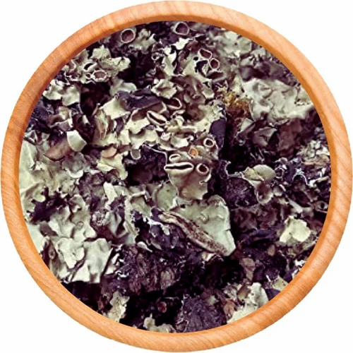 Dried Black Stone Flower Aromatic Spice for Rich & Earthy Flavors, A Grade