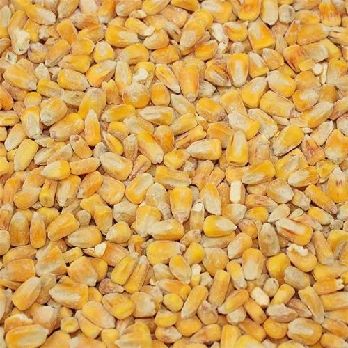 Natural Yellow Whole Maize