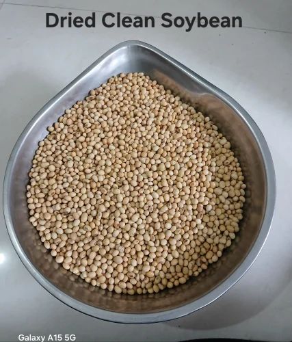 GMO Dried Clean Soybean Whole Beans
