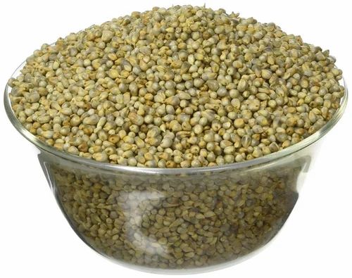 Whole Hybrid Bajra, High in Protein