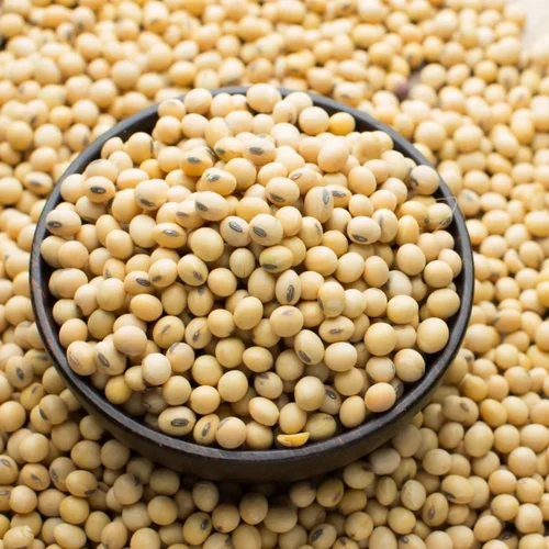 Soybean Whole