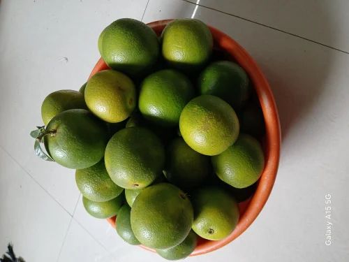 Sweet Lime Mosambi Fruit