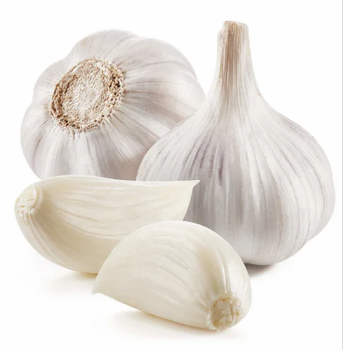 Regular White 55mm Himachal Organic Garlic