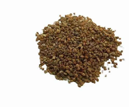 Brown AJMODA SEEDS - CELERY SEEDS - APIUM GRAVEOLENS, Packaging Type: Bag