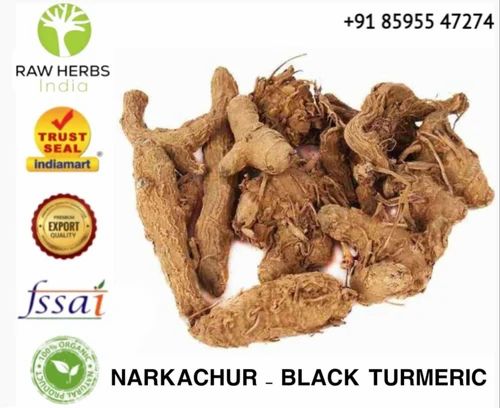NARKACHUR - BLACK TURMERIC - CURCUMA ZERUMBET, 25 Kg