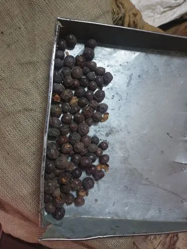 Juniper berry Dry, Packaging Type: Bag
