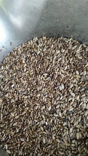 Apamarga Seed Dry, Packaging Type: Poly Bag, 50
