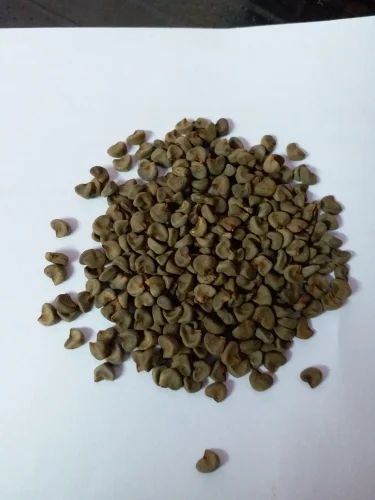 Catch khati Imli Seeds, Packaging Size: 10 kg, Packaging Type: Loose