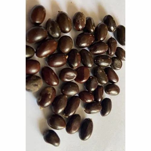 Sterculia Urens Seed, Packaging Type: HDPE Bag, 1 Kg