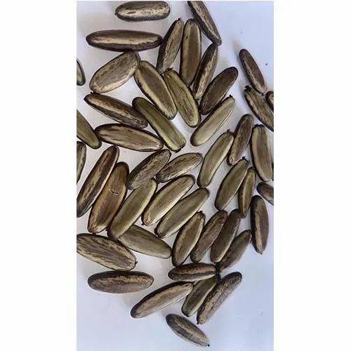 Delonix Regia Seeds, Packaging Type: HDPE Bag, 1 Kg