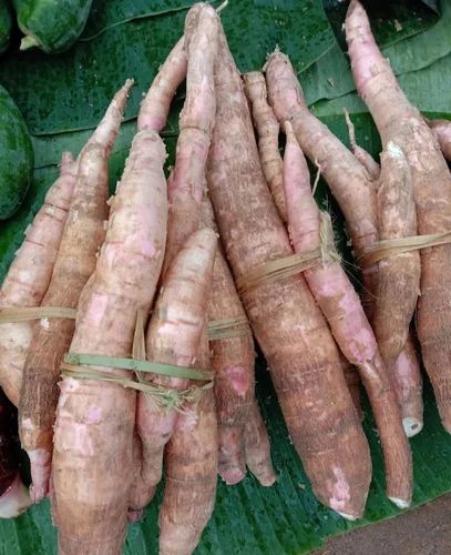 Loose Cassava Root