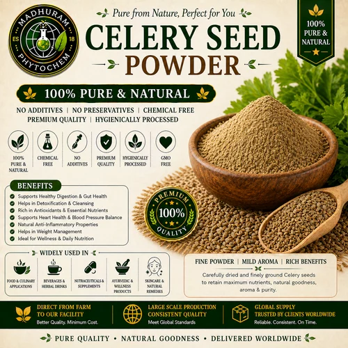 Celery Seed Powder, 1 Kg, Grade A