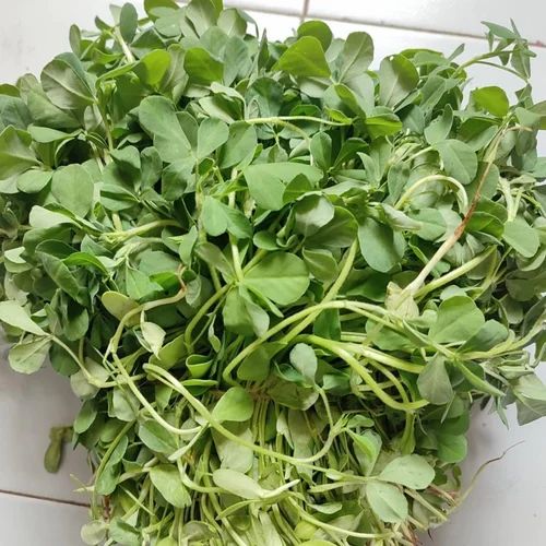 A Grade Fresh Fenugreek Leaf, Packaging Size: 800 g