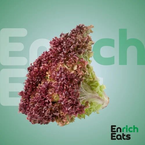 Red Lettuce Lolorosso