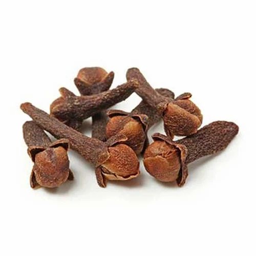 01 Year Clove Seeds, Carton