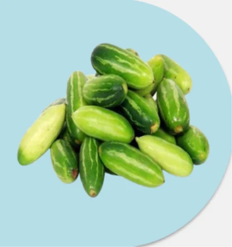 Frozen Tindora Vegetable