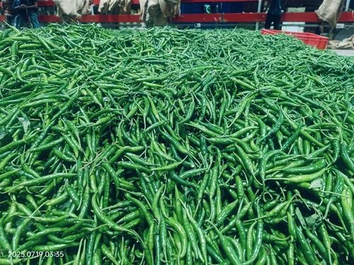 Fresh Chilli, 50 kg, G4