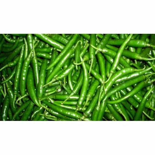 A Grade Green Chilli, Maharashtra, Packaging Size: 4 kg box