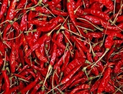 A Grade Fresh Chilli, for Cooking, Packaging Size: 5 Kg