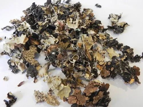 Black Stone Flower, Packaging Size: 25 kg