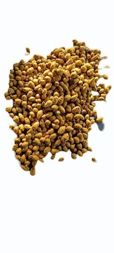 Turmeric Gattu, Bulb