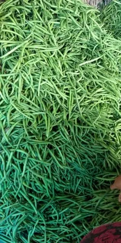 Green Beans, A Grade, Packaging Size: 50 Kg