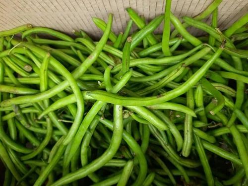Beans