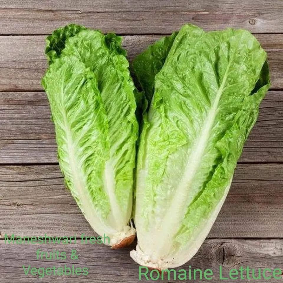 Lettuce Roman