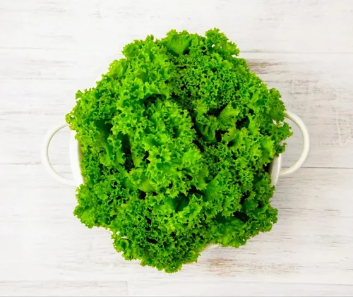 Lollo Bionda Lettuce