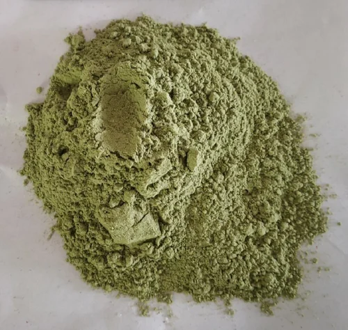 SAI HERBS Celery Leaves Extract Powder - Good for Healthy Lifestyle, Supports Overall Wellness