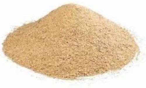 SAI HERBS Oyster Mushroom Extract Powder - For Blood Sugar and Cholesterol Levels
