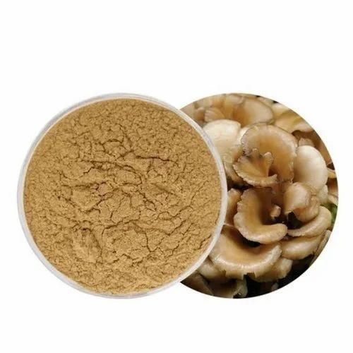 SAI HERBS Maitake Mushroom Powder - For Blood Sugar & Cholesterol Levels - Pure & Natural