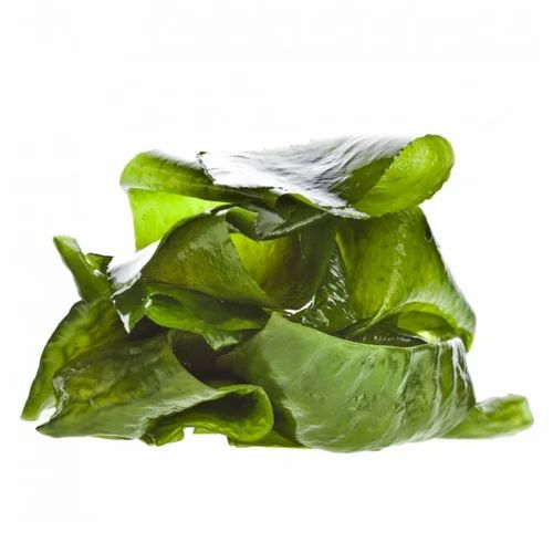 Seaweed Extract