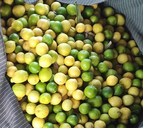 Fresh Lemon