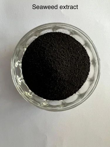 Plant Based Seaweed Extract Powder