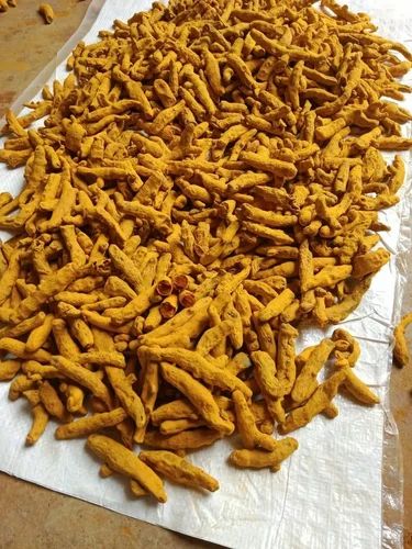 Dried Turmeric Finger, Variety: Salem, 2-3 %