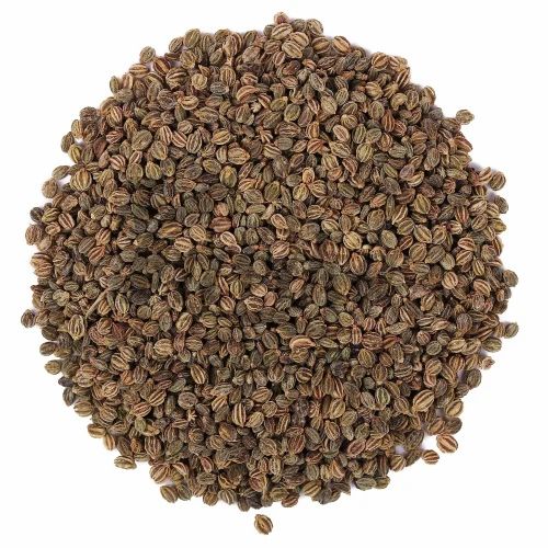 EASTMADE Brown Celery Seeds, Packaging Type: PP Bag, Packaging Size: 1-5 kg