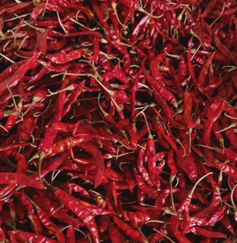 Byadgi Dried Red Chillies, Gunny Bag, 25 Kg
