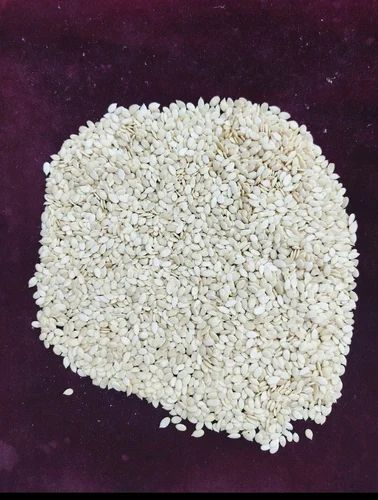 Magaj Seeds