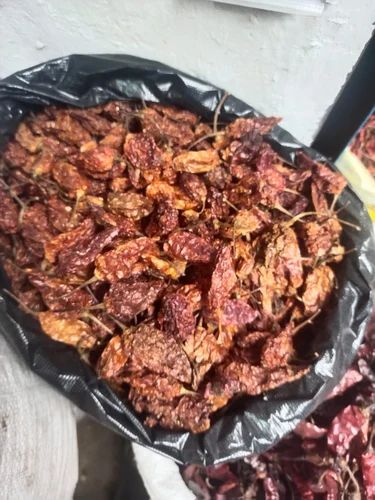 Bhut Jolokia Dried Chilly Pepper, Whole with Stem