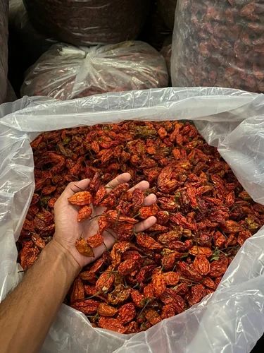 King Chilli Bhut Jolokia Pods Oven Dried